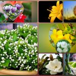 Tư vấn thay đổi giấy chứng nhận đầu tư tại Huế 6 Muốn thay đổi giấy chứng nhận đầu tư tại Huế