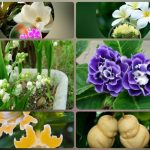 Muốn thay đổi giấy chứng nhận đầu tư tại Thành phố Hà Nội