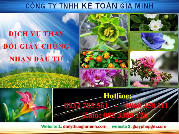 Tư vấn thay đổi giấy chứng nhận đầu tư tại Thành phố Hồ Chí Minh 4 Dịch vụ thay đổi giấy chứng nhận đầu tư tại Thành phố Hồ Chí Minh