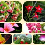 Dịch vụ thành lập địa điểm kinh doanh tại Bắc Kạn 6 Dịch vụ thành lập địa điểm kinh doanh tại Bắc Kạn