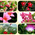 Dịch vụ thành lập địa điểm kinh doanh tại Bến Tre 6 Dịch vụ thành lập địa điểm kinh doanh tại Bến Tre