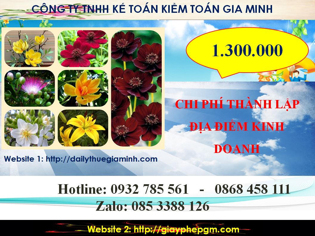 Dịch vụ thành lập địa điểm kinh doanh tại Bình Định 5 Chi phí thành lập địa điểm kinh doanh tại Bình Định