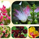 Dịch vụ thành lập địa điểm kinh doanh tại Bình Định 6 Dịch vụ thành lập địa điểm kinh doanh tại Bình Định