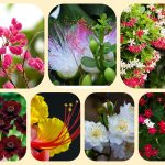 Dịch vụ thành lập địa điểm kinh doanh tại Đà Nẵng 6 Dịch vụ thành lập địa điểm kinh doanh tại Đà Nẵng