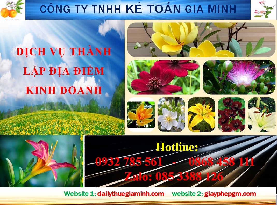 Dịch vụ thành lập địa điểm kinh doanh tại Điện Biên 4 Thủ tục thành lập địa điểm kinh doanh tại Điện Biên
