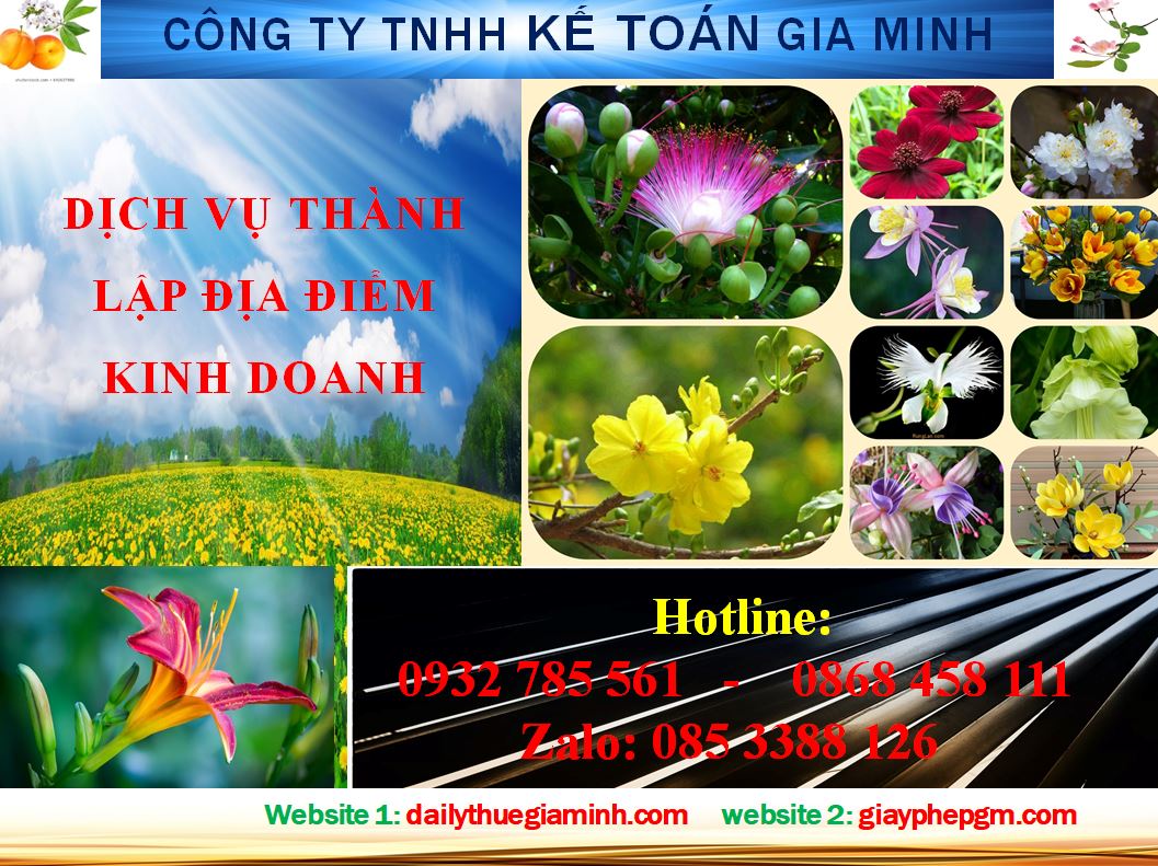 Dịch vụ thành lập địa điểm kinh doanh tại Hải Phòng 4 Thủ tục thành lập địa điểm kinh doanh tại Hải Phòng