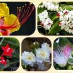 Dịch vụ thành lập địa điểm kinh doanh tại Hải Dương 6 Dịch vụ thành lập địa điểm kinh doanh tại Hải Dương