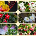 Dịch vụ thành lập địa điểm kinh doanh tại Hải Phòng 6 Dịch vụ thành lập địa điểm kinh doanh tại Hải Phòng