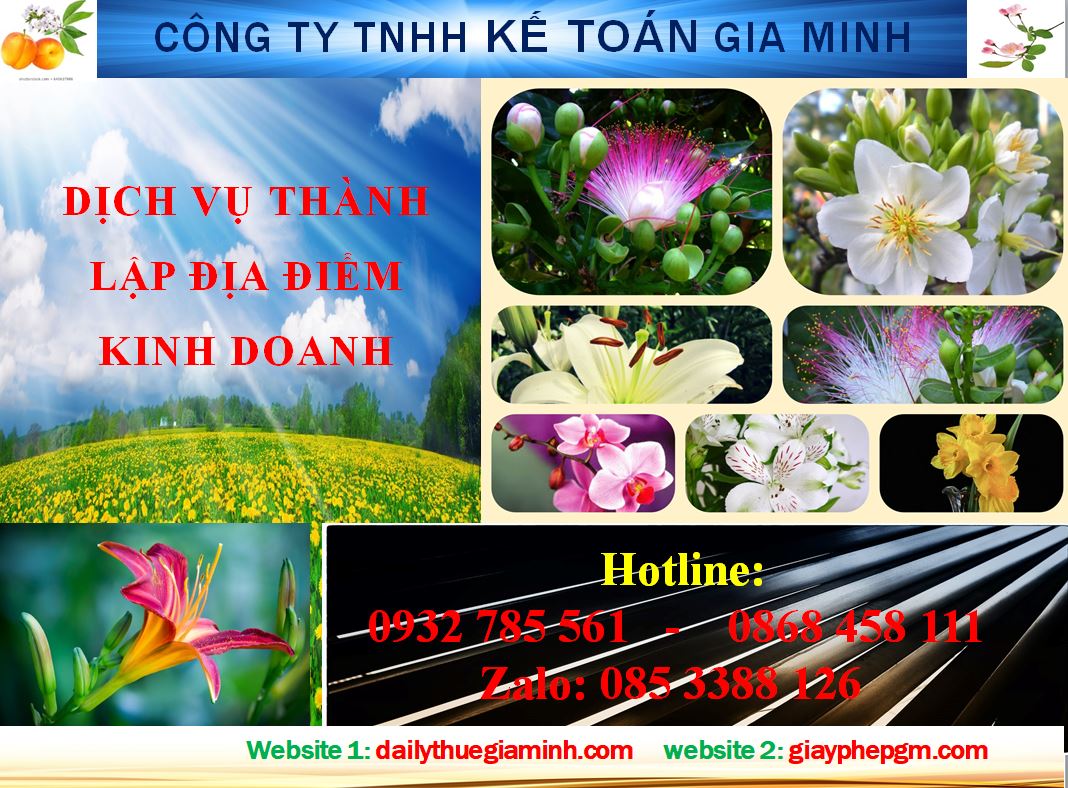 Dịch vụ thành lập địa điểm kinh doanh tại Lai Châu 4 Thủ tục thành lập địa điểm kinh doanh tại Lai Châu