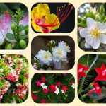Dịch vụ thành lập địa điểm kinh doanh tại Lâm Đồng