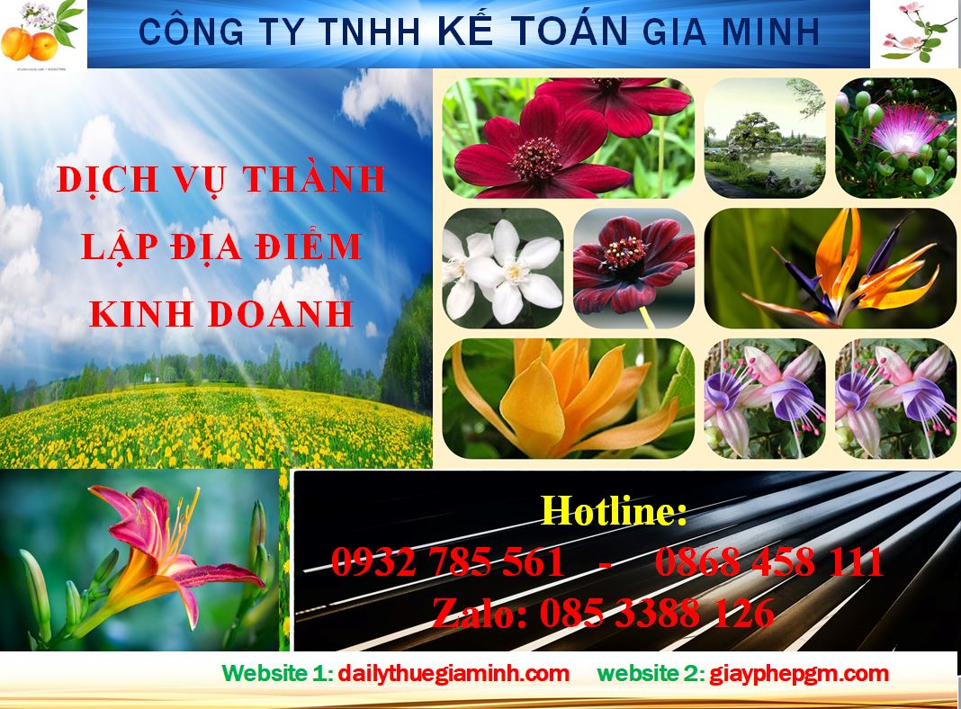 Dịch vụ thành lập địa điểm kinh doanh tại Lạng Sơn 4 Thủ tục thành lập địa điểm kinh doanh tại Lạng Sơn