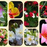 Dịch vụ thành lập địa điểm kinh doanh tại Nam Định 6 Dịch vụ thành lập địa điểm kinh doanh tại Nam Định