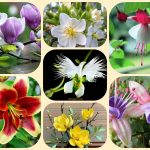 Dịch vụ thành lập địa điểm kinh doanh tại Quận 1 6 Dịch vụ thành lập địa điểm kinh doanh tại Quận 1