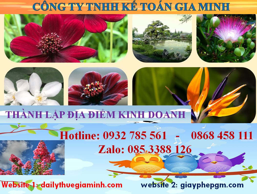 Dịch vụ thành lập địa điểm kinh doanh tại Quận 3 4 Thủ tục thành lập địa điểm kinh doanh tại Quận 3
