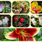 Dịch vụ thành lập địa điểm kinh doanh tại Quảng Trị