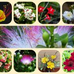 Dịch vụ thành lập địa điểm kinh doanh tại Thanh Hóa