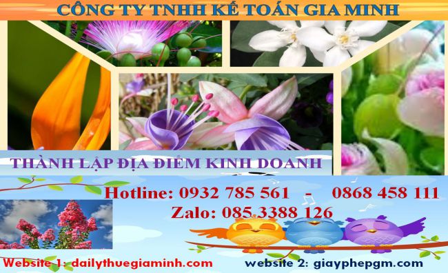 Thủ tục thành lập địa điểm kinh doanh tại thành phố Thủ Dầu Một