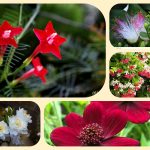 Dịch vụ thành lập địa điểm kinh doanh tại thành phố Hồ Chí Minh 6 Dịch vụ thành lập địa điểm kinh doanh tại thành phố Hồ Chí Minh