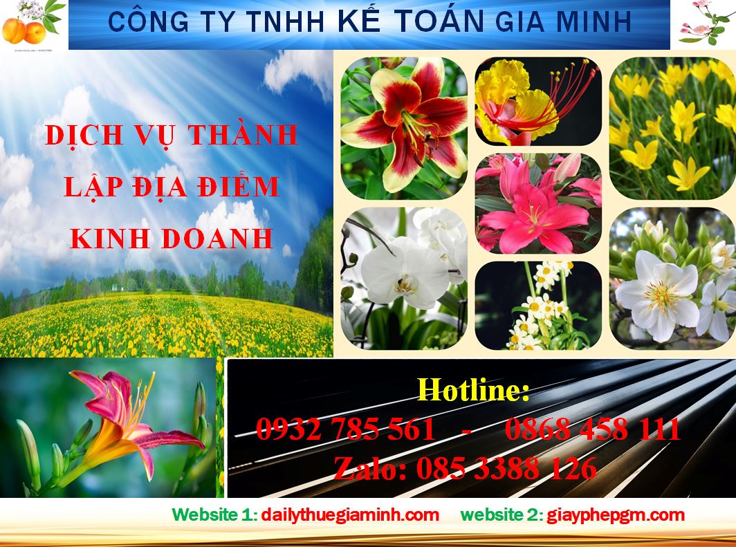 Dịch vụ thành lập địa điểm kinh doanh tại thành phố Hồ Chí Minh 4 Thủ tục thành lập địa điểm kinh doanh tại thành phố Hồ Chí Minh