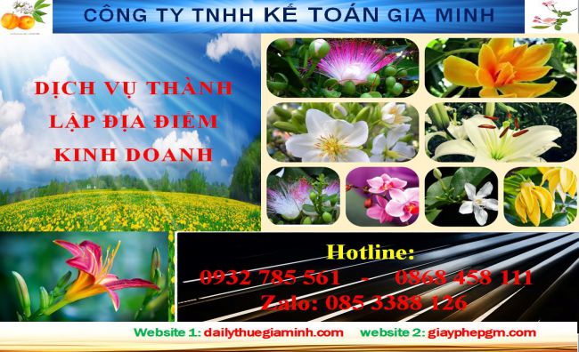 Dịch vụ thành lập địa điểm kinh doanh tại Vũng Tàu 4 Thủ tục thành lập địa điểm kinh doanh tại Vũng Tàu