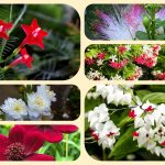 Dịch vụ thành lập địa điểm kinh doanh tại Yên Bái 6 Dịch vụ thành lập địa điểm kinh doanh tại Yên Bái