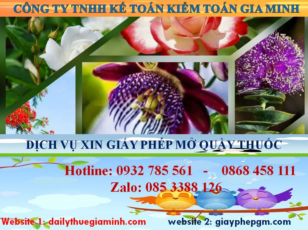 Xin giấy phép mở nhà thuốc tại Bắc Kạn 4 Thủ tục xin giấy phép mở nhà thuốc tại Bắc Kạn
