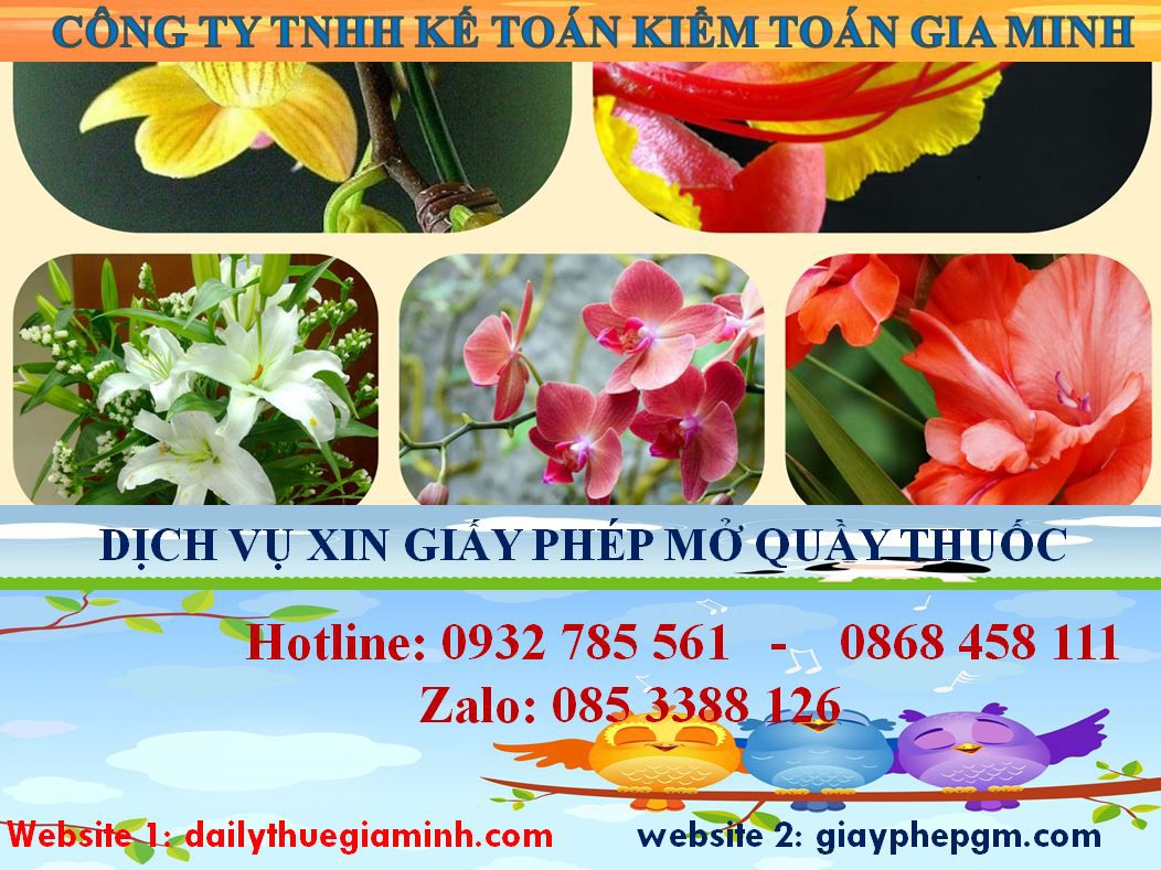 Xin giấy phép mở nhà thuốc tại Bình Định 4 Thủ tục xin giấy phép mở nhà thuốc tại Bình Định
