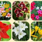 Xin giấy phép mở nhà thuốc tại Bình Thuận 6 Muốn xin giấy phép mở nhà thuốc tại Bình Thuận