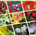 Xin giấy phép mở nhà thuốc tại Đồng Tháp 6 Muốn xin giấy phép mở nhà thuốc tại Đồng Tháp