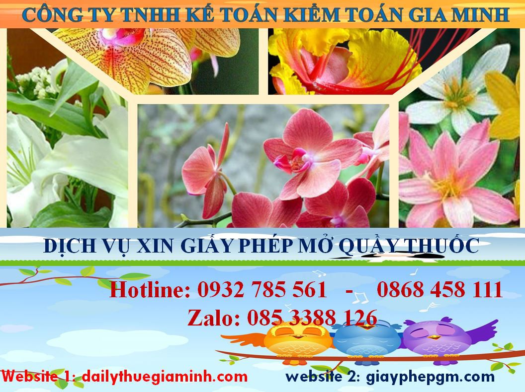 Xin giấy phép mở nhà thuốc tại Đồng Tháp 4 Thủ tục xin giấy phép mở nhà thuốc tại Đồng Tháp