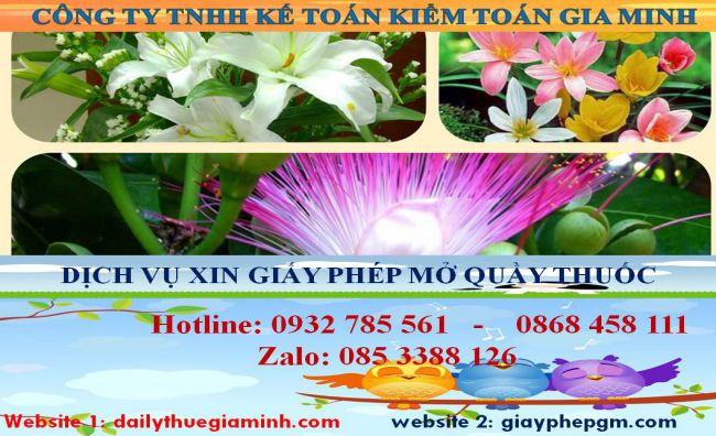 Xin giấy phép mở nhà thuốc tại Hà Giang 4 Thủ tục xin giấy phép mở nhà thuốc tại Hà Giang