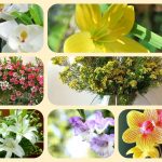 Xin giấy phép mở nhà thuốc tại Hà Nội: Quy trình và kinh nghiệm từ A-Z 6 Muốn xin giấy phép mở nhà thuốc tại Hà Nội