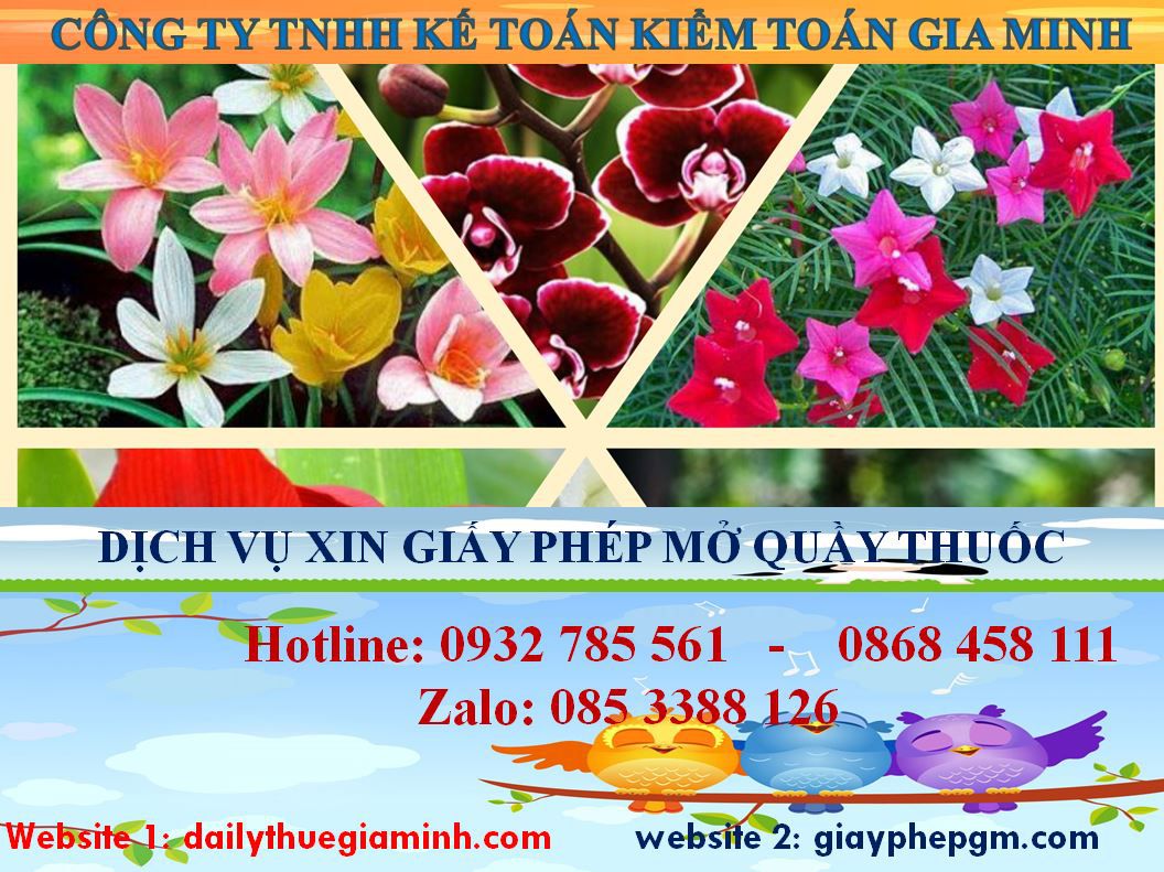 Xin giấy phép mở nhà thuốc tại Hà Nội: Quy trình và kinh nghiệm từ A-Z 4 Thủ tục xin giấy phép mở nhà thuốc tại Hà Nội