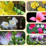 Muốn xin giấy phép mở nhà thuốc tại Hòa Bình