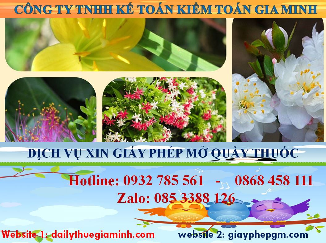 Thủ tục xin giấy phép mở nhà thuốc tại Hòa Bình