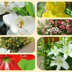 Xin giấy phép mở nhà thuốc tại Huế 6 Muốn xin giấy phép mở nhà thuốc tại Huế