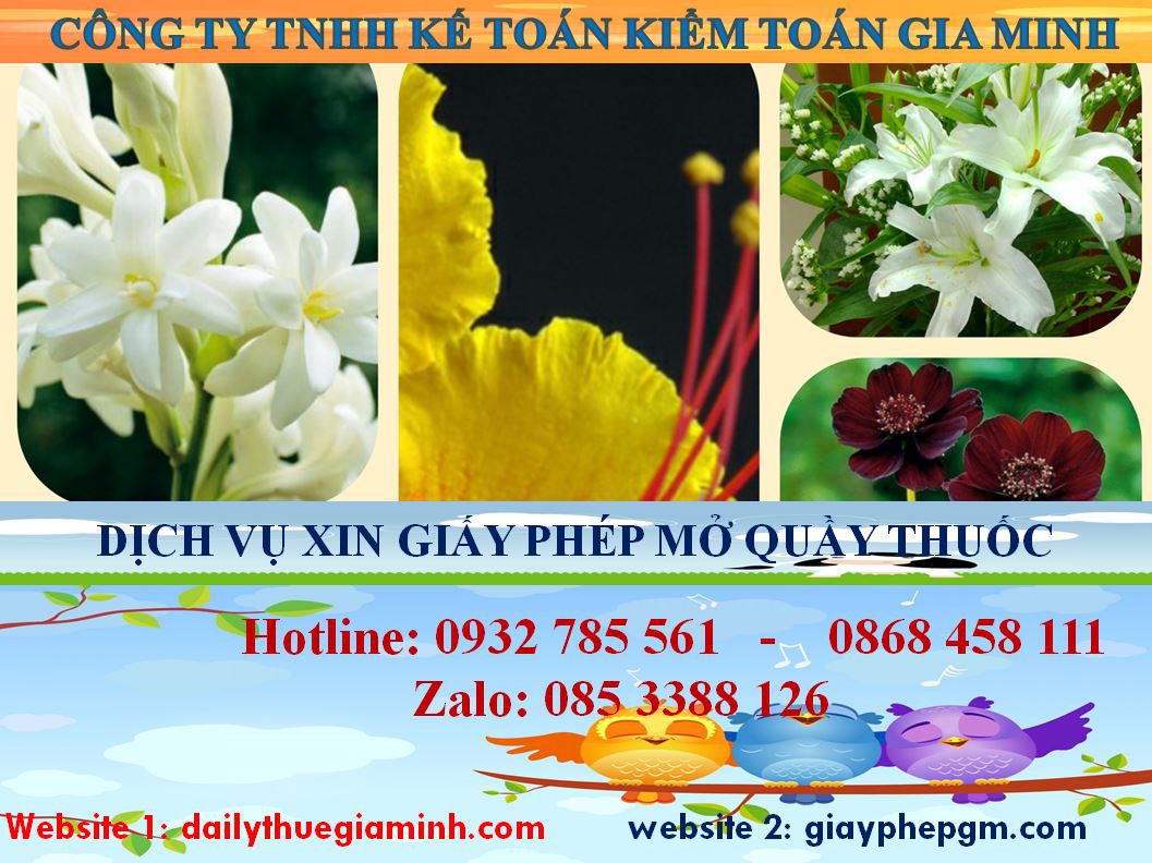 Xin giấy phép mở nhà thuốc tại Huế 4 Thủ tục xin giấy phép mở nhà thuốc tại Huế