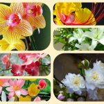 Xin giấy phép mở nhà thuốc tại Huyện Hà Nội 6 Muốn xin giấy phép mở nhà thuốc tại Huyện Hà Nội