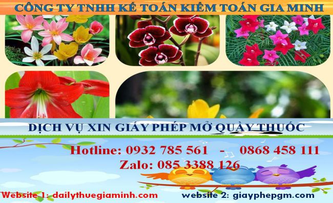 Xin giấy phép mở nhà thuốc tại Huyện Hà Nội 4 Thủ tục xin giấy phép mở nhà thuốc tại Huyện Hà Nội