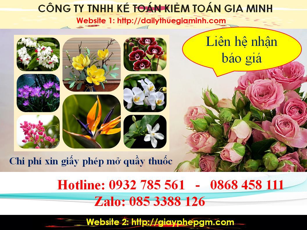 Chi phí xin giấy phép mở nhà thuốc tại Kiên Giang