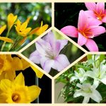 Muốn xin giấy phép mở nhà thuốc tại Kiên Giang
