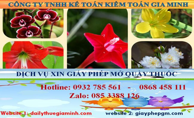 Xin giấy phép mở nhà thuốc tại Ninh Bình 4 Thủ tục xin giấy phép mở nhà thuốc tại Ninh Bình