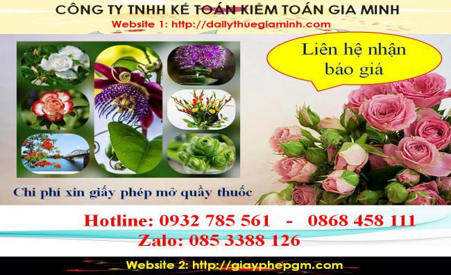 Chi phí xin giấy phép mở nhà thuốc tại Phú Thọ