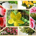 Muốn xin giấy phép mở nhà thuốc tại Phú Thọ