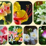 Xin giấy phép mở nhà thuốc tại Quận Nam Từ Liêm 6 Muốn xin giấy phép mở nhà thuốc tại Quận Nam Từ Liêm