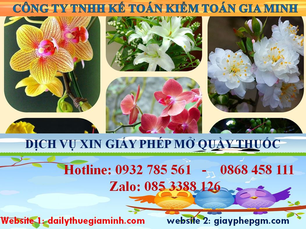Xin giấy phép mở nhà thuốc tại Sơn La 4 Thủ tục xin giấy phép mở nhà thuốc tại Sơn La