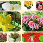 Muốn xin giấy phép mở nhà thuốc tại Thái Bình