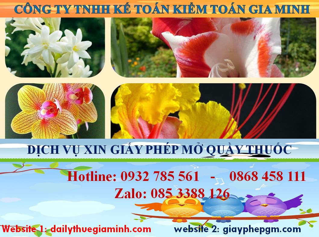 Thủ tục xin giấy phép mở nhà thuốc tại Thái Bình