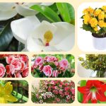 Xin giấy phép mở nhà thuốc tại Thái Nguyên 6 Muốn xin giấy phép mở nhà thuốc tại Thái Nguyên