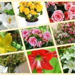 Xin giấy phép mở nhà thuốc tại Thừa Thiên Huế 6 Muốn xin giấy phép mở nhà thuốc tại Thừa Thiên Huế
